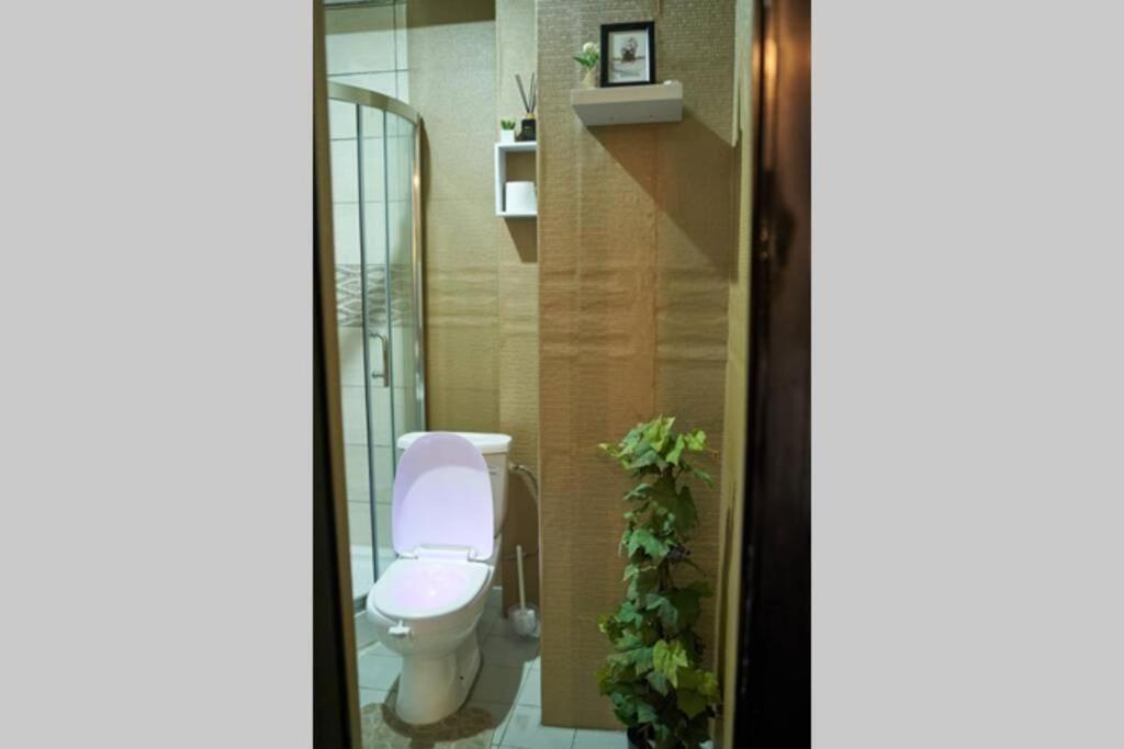 Appartement Cosy Free Bonapriso 杜阿拉 外观 照片